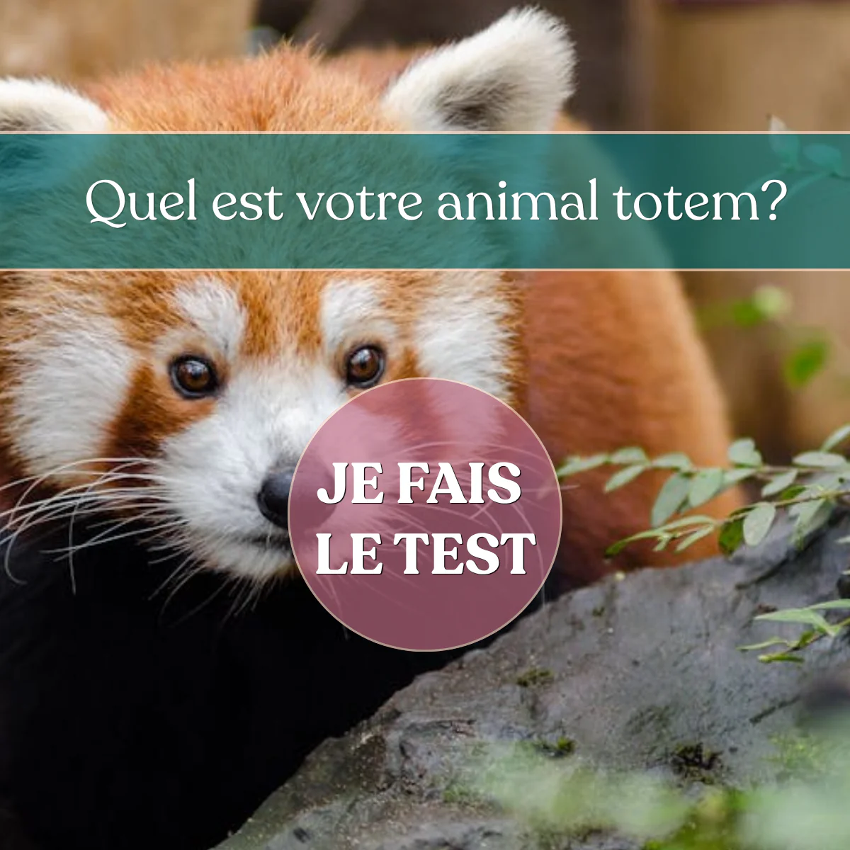 Portez votre âme animale