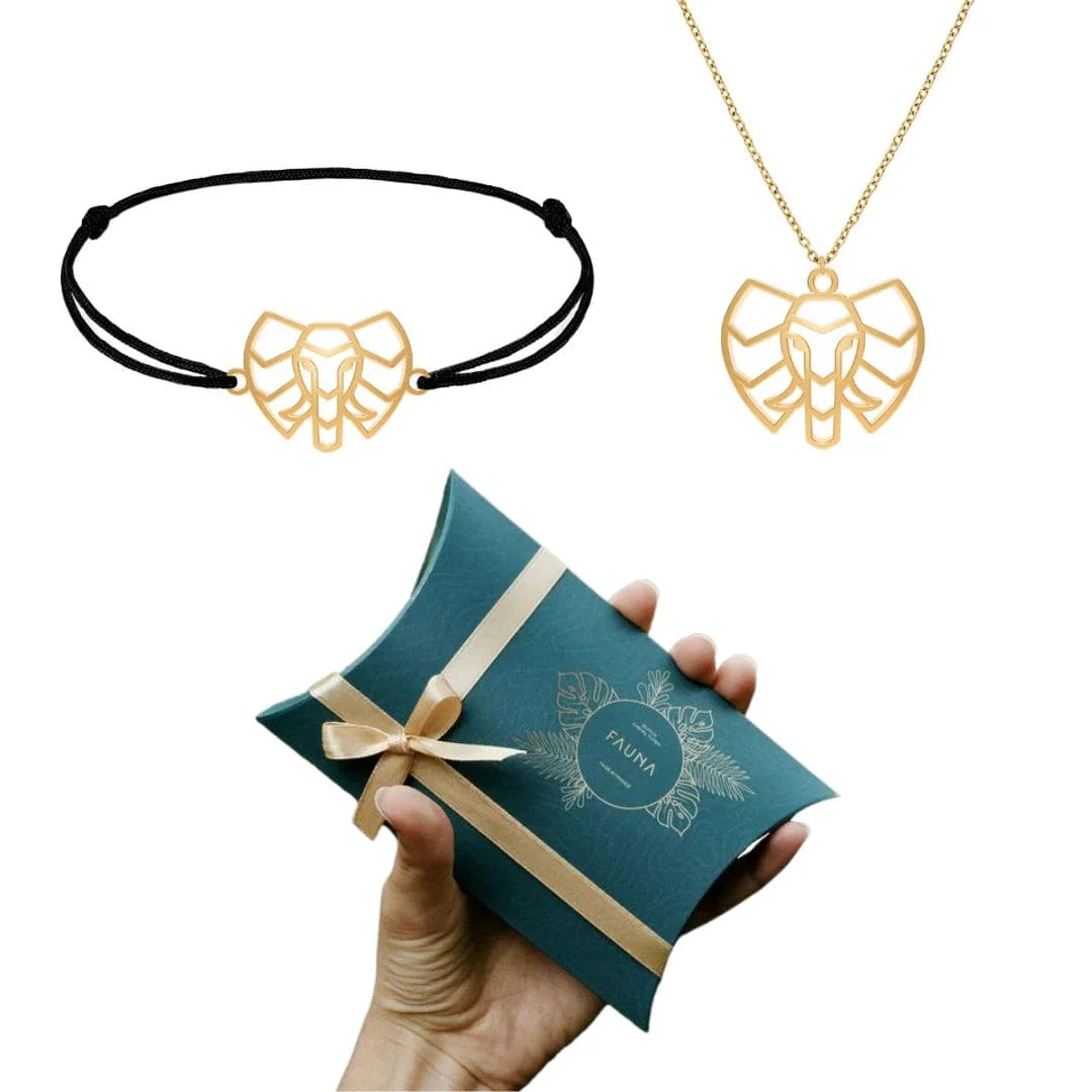 Image du produit 15